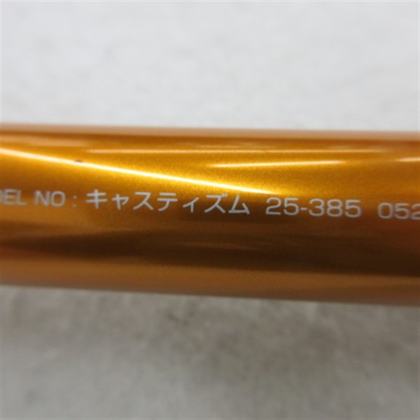 ０７キャスティズム２５－３８５